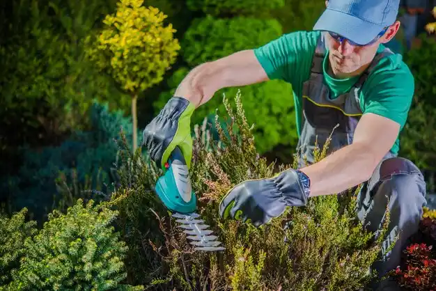 landscaping services North Olmsted
